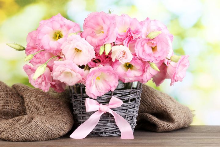 Как продлить жизнь цветам