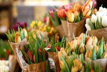 Хотите купить цветы в Липецке? Приходите в салон “Цветы Эль”! У нас низкие цены на свежие цветы